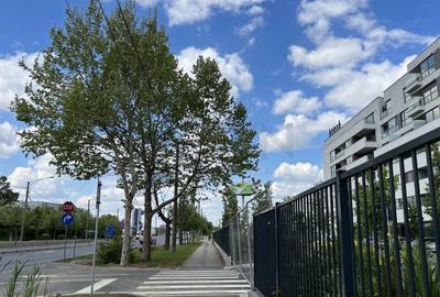 REA1018183 BEST PRICE 4 Camere cu terasa Complex Atria - 10