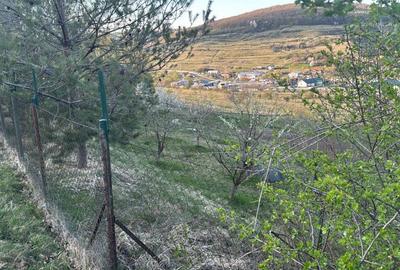 Spațiu comercial, în Vâlcele - 4