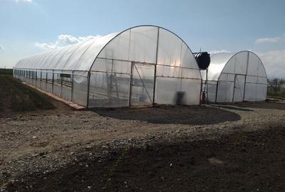 Casă cu 2 camere cu Teren 2000 Mp în Lilieci - 6