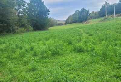 Teren de 7100 mp, în Săcel - 1