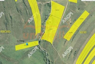 Teren de vanzare extravilan in Cluj-Napoca, Strada Soporului 2.218 mp - 9