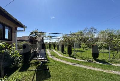 Casă cu 4 camere cu Teren 13000 Mp în Primăverii - 15