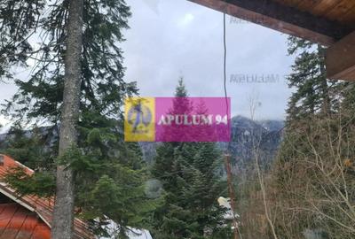 Vilă de vânzare in Sinaia - Zona Cumpătu - 16