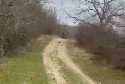 Spațiu comercial, în Pietraru - 1