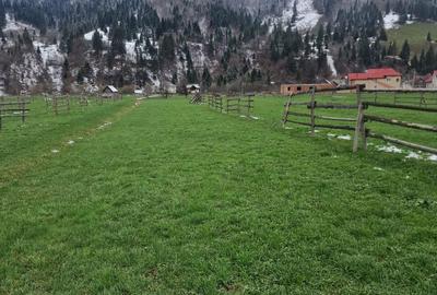 De vanzare teren intravilan 2466 mp Bucovina - Frumosu - 6