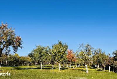 Casă cu 3 camere cu Teren 1994 Mp în Central