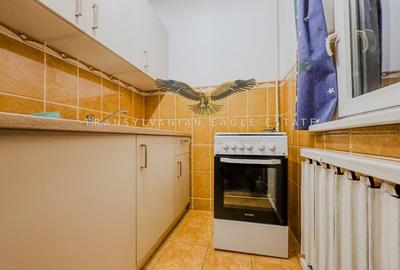 Garsonieră decomandată, mobilată în Zorilor - 8