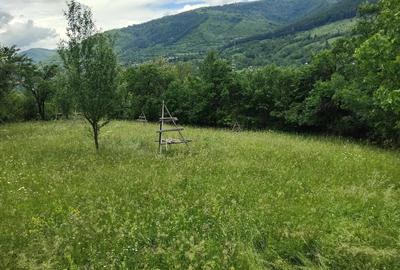 Teren de 1200 mp, în Valea Doftanei