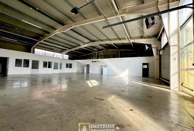 Hala mixta 800 mp de inchiriat – showroom, birouri, depozit – Arad - 6