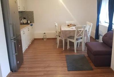 Casa de vacanta pe valea Avrigului - 9