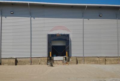 Depozit frigorific de 216 mp cu 4 celule, Scheia, Suceava - 3
