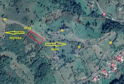 Teren agricol extravilan de 2000 mp, în Peștera