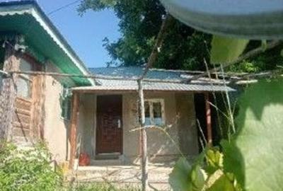 Casă cu 3 camere cu Teren 1096 Mp în Cășăria - 8