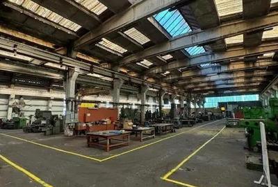 Vanzare/inchiriere 1-3 HALE si 1 cladire BIROURI, zona industriala mun. VASLUI - 20