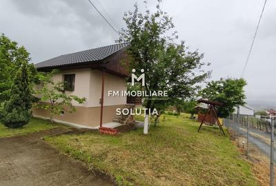 Casă P+1 de vânzare în Cicârlău – zonă superbă, 11 ari teren! - 14