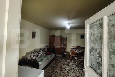 Casa solida cu pod, foisor si 2 garaje in Tarnaveni - 4