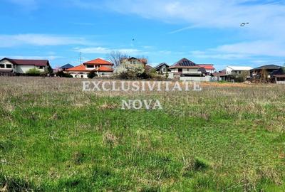 Teren Construcții intravilan de 4900 mp, în Cernica - 4