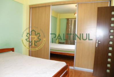 Garsonieră decomandată, mobilată în Turnișor - 4