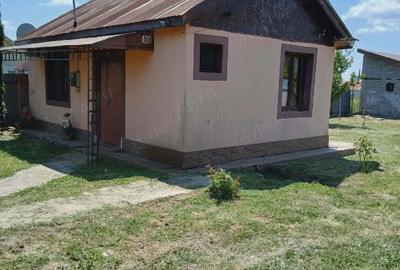 Casă în Câmpu Mare - 3