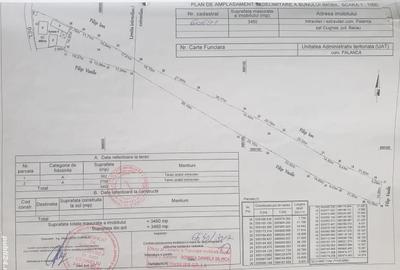 Casă cu 4 camere cu Teren 4000 Mp în Central - 2