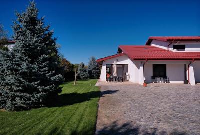 Vila tip Ranch langa Padure - 2