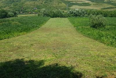 Teren Construcții intravilan de 2900 mp, în Căianu - 5