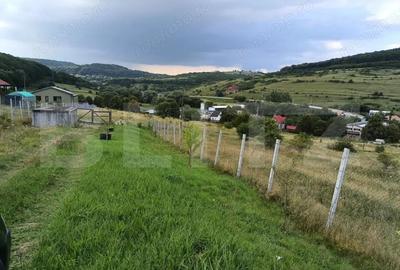 Teren de 1000 mp, în Central