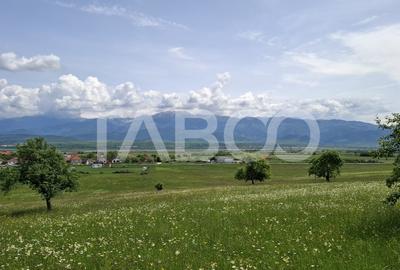COMISION 0% Teren intravilan de vanzare 4460 mp Bradu Sibiu - 7