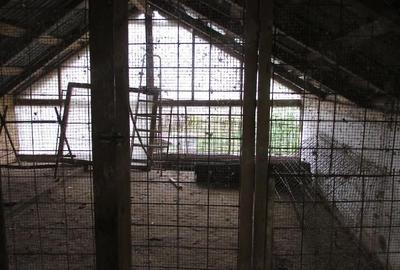 Casă cu 3 camere cu Teren 2900 Mp în Vețel - 8