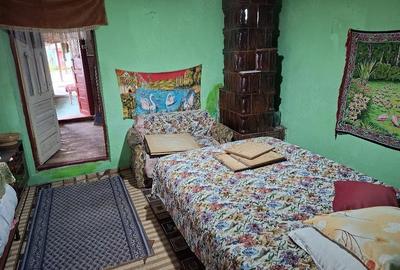 Casă cu 2 camere cu Teren 890 Mp în Podari - 3