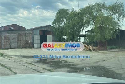 Ferma zootehnicaFunctionala zona Tomsani - 4