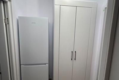 Garsonieră decomandată în Exterior Vest - 1