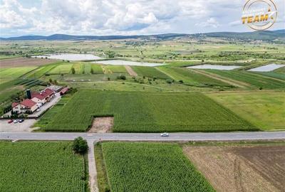 Teren arabil 3.000 mp, potential investitional, Coseni, Covasna - 3