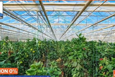 Sere: 10.640mp | Hala: 830mp | Teren 42.000mp | Lehliu-Gara - 5