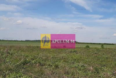 Teren de 524 mp, în 1 Decembrie - 2