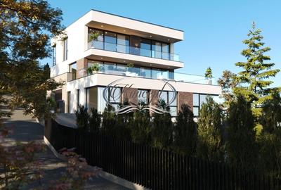 Duplex cu panorama spectaculoasa in Grigorescu - 3