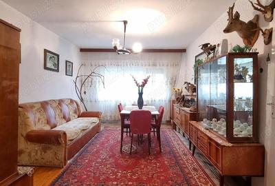 Apartament cu 3 camere semidecomandat în Govândari - 9
