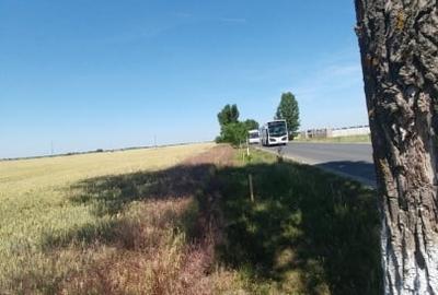 Teren Construcții intravilan de 3700 mp, în Sud - 1