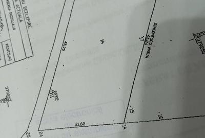 Teren de 1000 mp, în Priseaca - 5