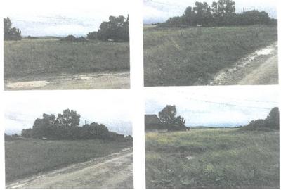 Teren extravilan de 3500 mp, în Nord-Vest