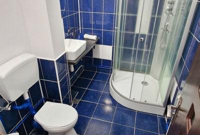Apartament cu 3 camere decomandat, mobilat în Turnișor - 12