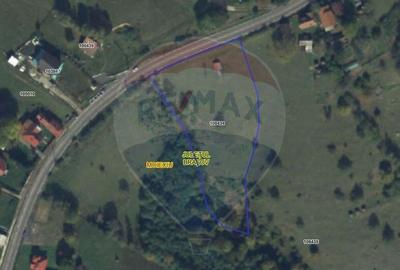 Teren de 5694 mp, în Moieciu - 4