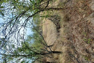 Casă cu 2 camere cu Teren 3100 Mp în Diculești - 5