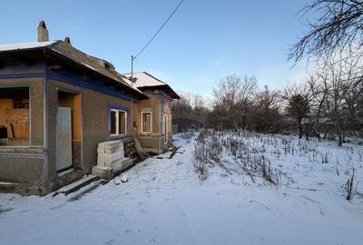 Casă cu 3 camere cu Teren 1179 Mp în Fierbinți-Târg - 10