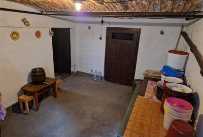 Poveste saseasca la umbra vitei de vie, cu crama si gradina cu flori, Central Co - 28