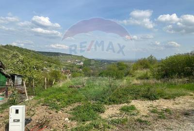 Teren Construcții intravilan de 1661 mp, în Podgoria - 2