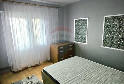 Apartament cu 2 camere decomandat, mobilat în Alfa - 2