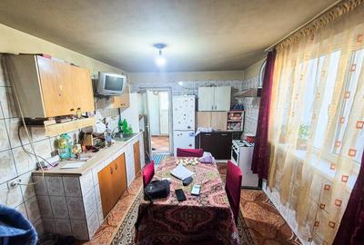 Casa Borlesti Merisani Arges - 5