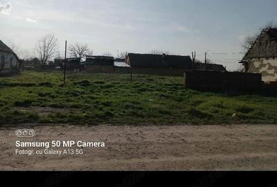 Teren de 1439 mp, în Bobda - 5