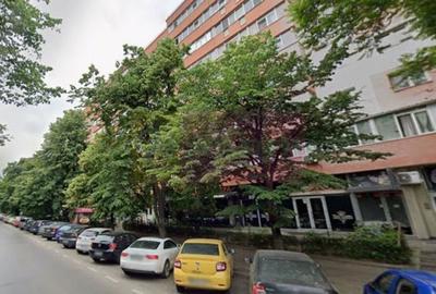 Inchiriere spatiu comercial in zona Teiul Doamnei, stradal - 2